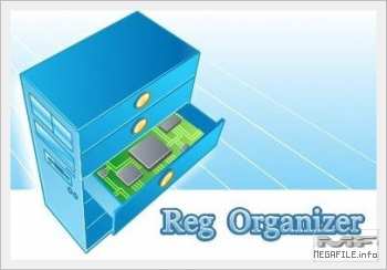 Reg Organizer 4.20